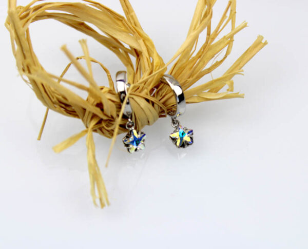 Pendientes de Plata - Imagen 2