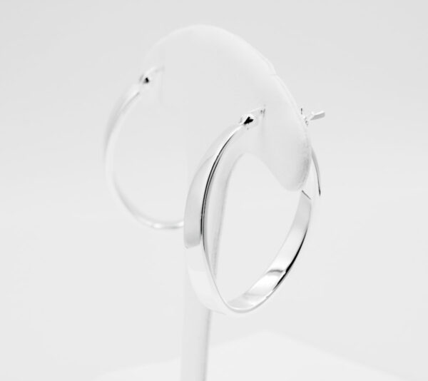 Pendientes Vidal&Vidal R1487A plateado - Imagen 4