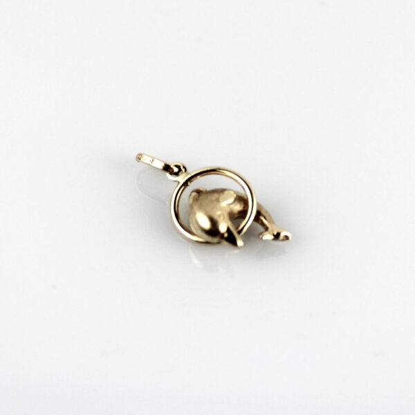 Colgante Delfin con Aro en Oro 18k