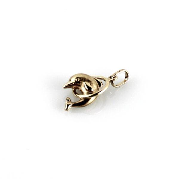 Colgante Delfin con Aro en Oro 18k